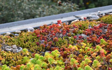 the cost of Spittlegate green roof installation