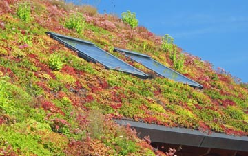 Spittlegate living roof systems